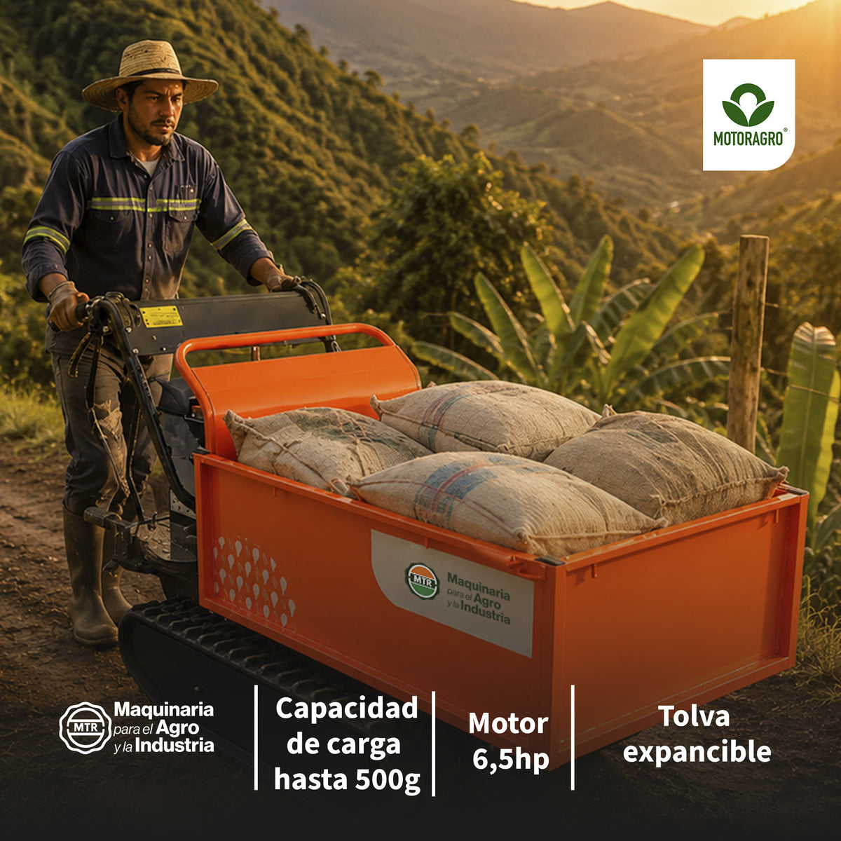 oruga mini dumper